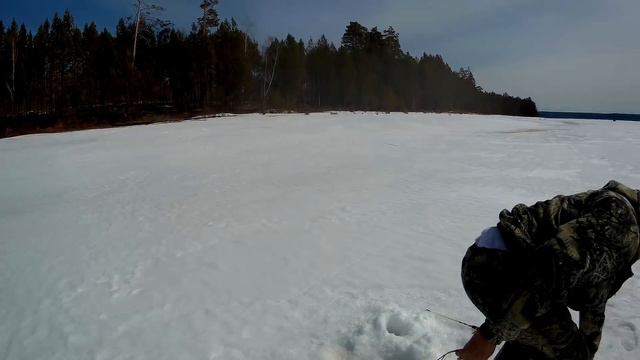 ЗА ВЕСЕННИМИ ОКУНЬКАМИ!!НЕ УСПЕВАЕШЬ ВЫТАСКИВАТЬ!! смотреть онлайн