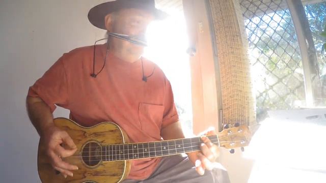 Bus Stop Boxer - sotu 494 - Eels cover смотреть онлайн