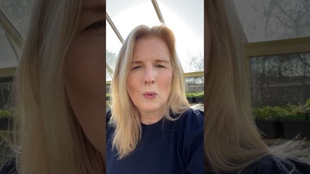 Stocks (Matthiola incana) Grow-A-Long смотреть онлайн