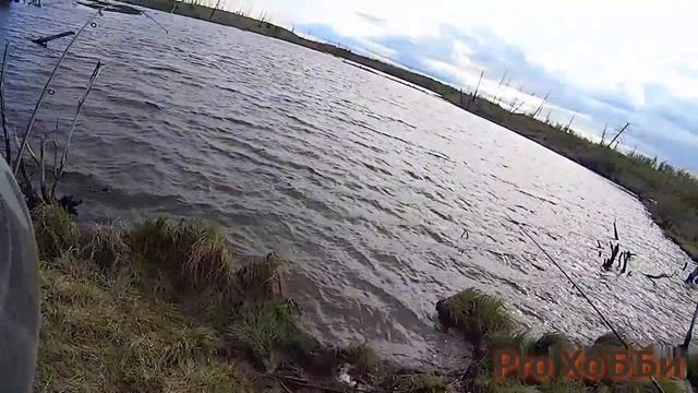 Самая лучшая рыбалка за 2019год. смотреть онлайн