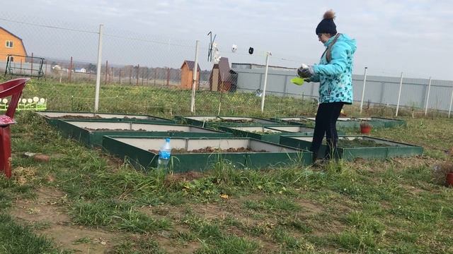 31 октября на даче в Подмосковье. Раскисляю почву, белим деревья, размножаю клубнику усами. смотреть онлайн