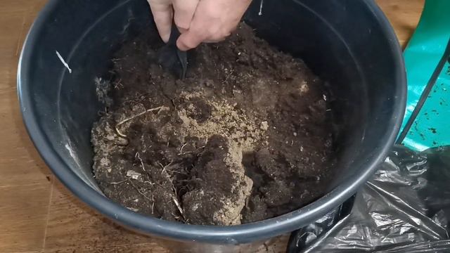 Пересадка Алоэ вера (алоэ настоящее) #aloevera #succulents. Получили в подарок. Грунт для алоэ.