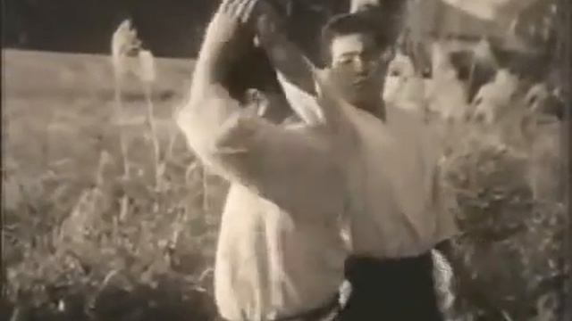 Aikido, Morihiro Saito Sensei In Iwama