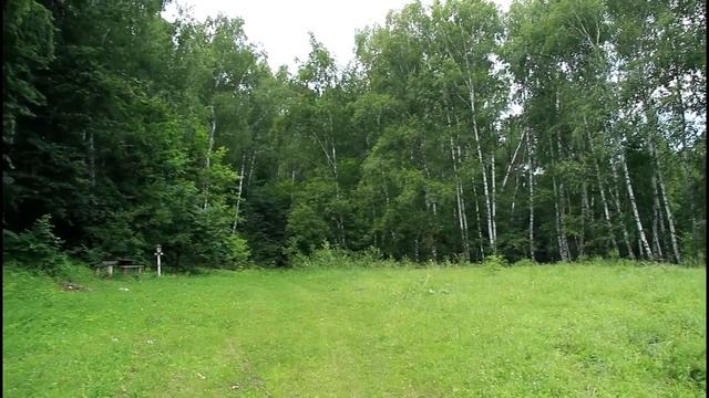 Russian Forest. Amazing Nature. Село Лох