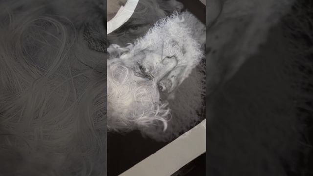 Висококачествен печат на фотографии и репродукции на fine art медии във @Кодак Фото Алеко -В.Търнов смотреть онлайн