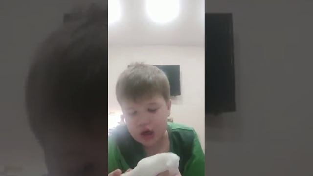 деагостини deagostini "снежные хищники " коротко о песце))) смотреть онлайн