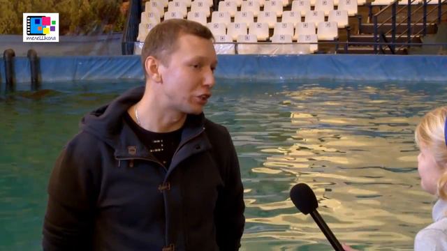 Сюжет ТелеШколы о дельфинах смотреть онлайн