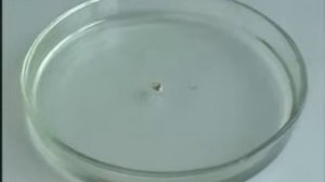 Взаимодействие спиртов с металлами