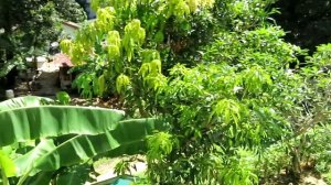 Surintra Boutique Resort/Двухместный номер Гранд Делюкс/Сурин-Бич, Таиланд