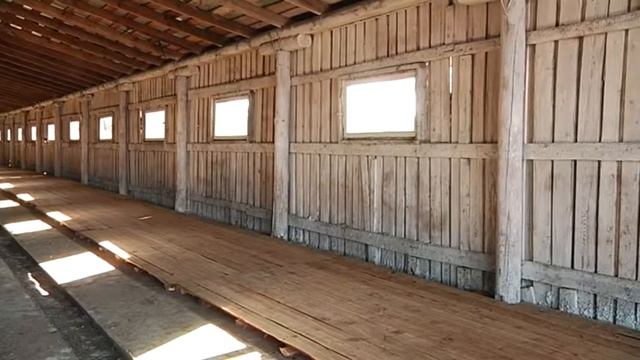 Документы на получение статуса племенного репродуктора подал комплекс в селе Васильевка. смотреть онлайн