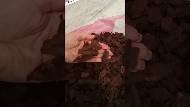 Биглип белый и грунт для новичков. смотреть онлайн