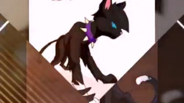 Бичик кот воитель из кровавого племени смотреть онлайн