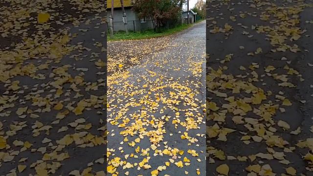 А у вас какая погода? смотреть онлайн