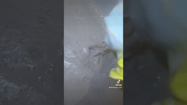 Мою ванну , остатки паст мой телеграмм t.me/katusha_asmr