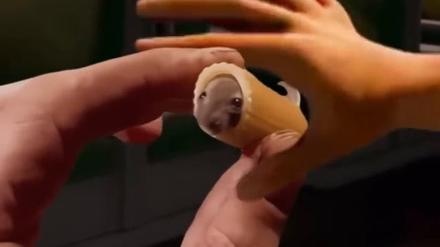 aww he's trying to escape ? смотреть онлайн