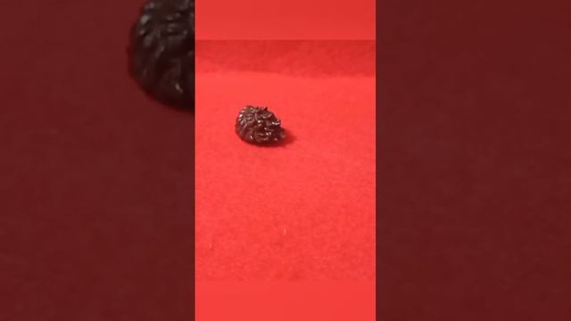 Как сделать из LEGO База Лайтера смотреть онлайн