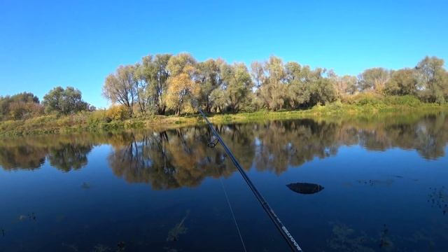 РЫБАЛКА НА ВОБЛЕРЫ 2021! Рыбалка на СПИННИНГ с берега! Твичинг воблеров! смотреть онлайн