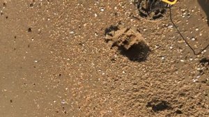 Морской коп  копаем на море Анапа копаем вместе