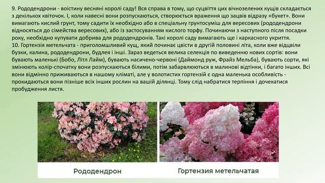 Вебінар 22.06.23