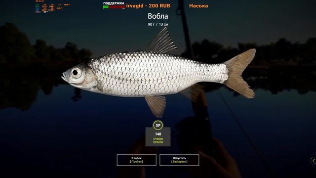 Русская Рыбалка 4 - р. Ахтуба - трофей - сельдь кесслера и вобла смотреть онлайн