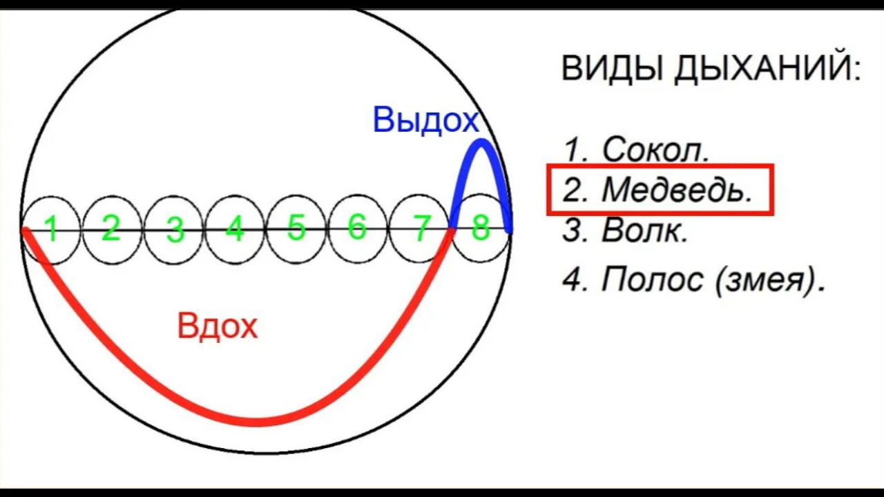 ДЫХАНИЕ МЕДВЕДЯ - НАПОЛНЕНИЕ ЭНЕРГИЕЙ