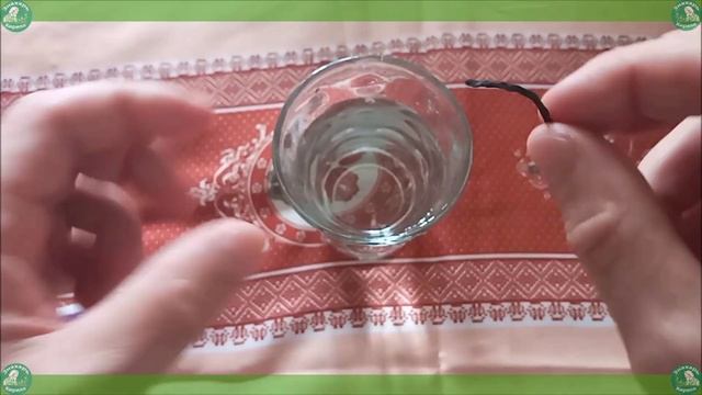 Как Узнать Есть ли Порча на Человеке? Диагностика Порчи Спичкой и Святой Водой | Знахарь-Кирилл?♂️