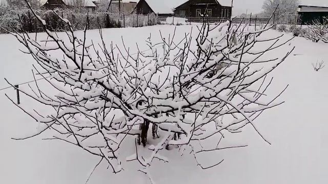 А снег идёт смотреть онлайн