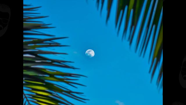 Cómo Editar Las FOTOS De La LUNA Con Tu TELÉFONO / CELULAR