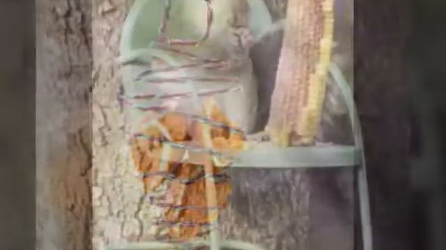 Кто до такого додумался смотреть онлайн