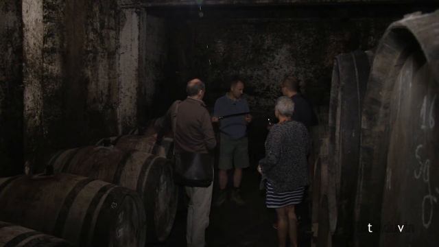 CHATEAU RAYAS by LOTEL DU VIN смотреть онлайн