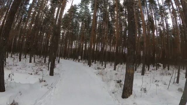 Лыжная трасса Гусь Хрустальный смотреть онлайн