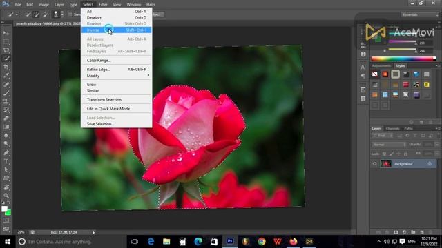 How to use Hand tool, Zoom tool, Colour Options, and Full Screen tool in Adobe Photoshop – Class 13 смотреть онлайн