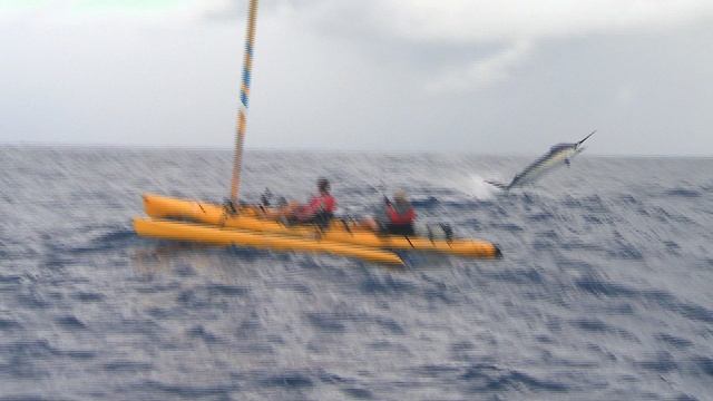 Biggest Fish - By Rob Paxevanos in Hobie Tandem Island Kayak смотреть онлайн