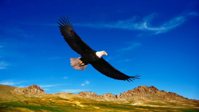 Evangelio de Hoy Martes 7 de Marzo de 2023 en el Cenaculo | www.youtube.com/#orarenelcenaculo смотреть онлайн