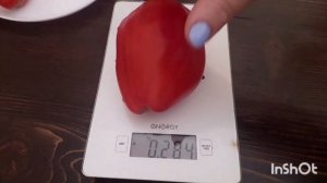 Томат Гребешки красные. Обзор дегустация