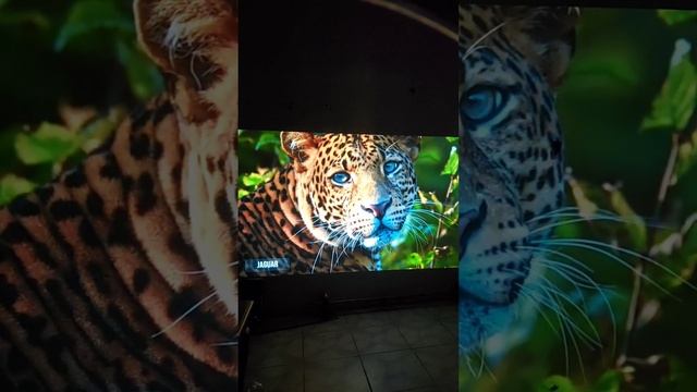 Umiio A008 4K Led Lcd Video Projector 1080p Projection смотреть онлайн