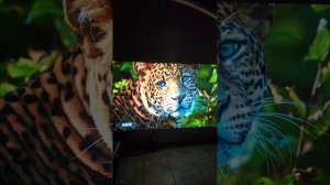 Umiio A008 4K Led Lcd Video Projector 1080p Projection