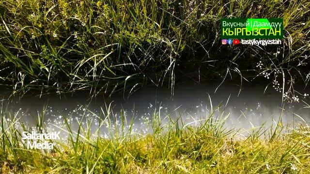Как фермеры "дружат" с новыми сельхоз-культурами? смотреть онлайн