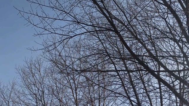 Эти Знаки Зодиака способны изменить мир и повлиять на людей. Они рождаются не просто так... смотреть онлайн