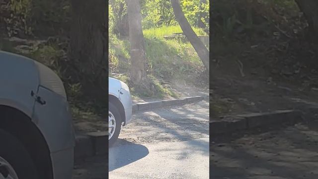 Nissan: Приключения на колесах