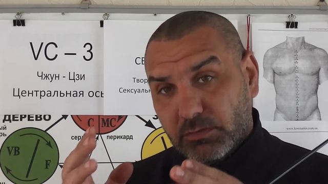 Точка Чжун-Цзи и Чакра Свадхистана. смотреть онлайн