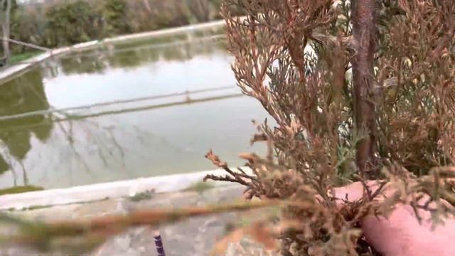 Ремонт спиральной клумбы завершен… смотреть онлайн