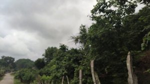 Гал - ореховый рай. Восточная Абхазия, гальское водохранилище, граница.