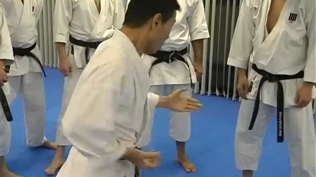Mikio Yahara: Tsuki Waza. Training In KWF Honbu Dojo 2012