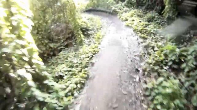 Alligator Alley /w Big Gulp @ Markham Park смотреть онлайн