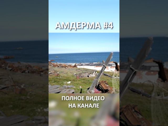 АМДЕРМА AMDERMA 4 SHORT #SHORTS смотреть онлайн