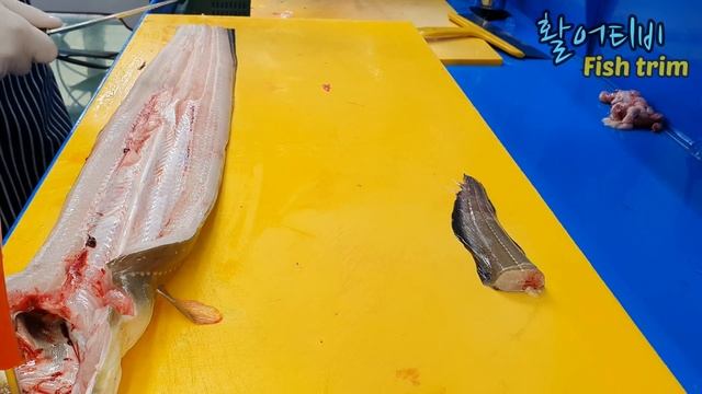 장어 한마리 1kg , 붕장어 손질 , Sea eel ,장어구이용 , 장어탕용 , Conger ,