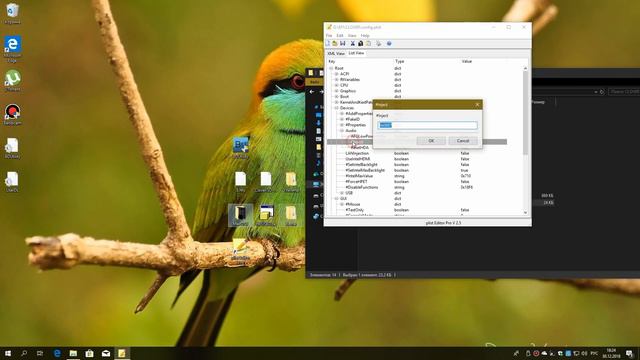как создать флешку USB Hackintosh Clover из под Windows смотреть онлайн