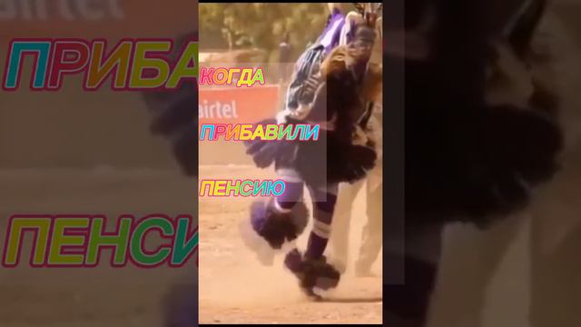 увеличили размер пенсий Приколы май 2021. Свежие.