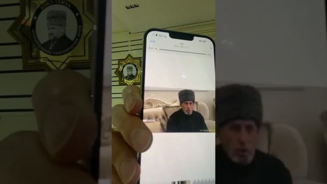 Делимханов призвал остановить ингушей "ингушскую кучку провокаторов смотреть онлайн